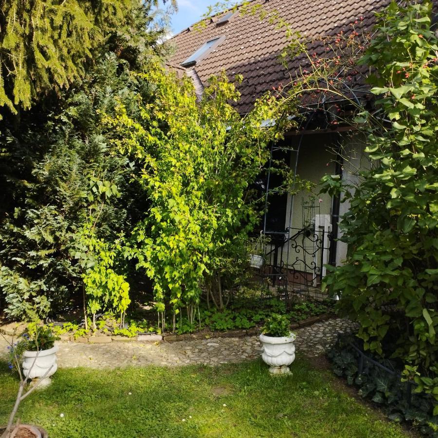 B&B Family Basement Apartment, Breakfast, Free Parking, 5Km From Tulln Chorherrn Ngoại thất bức ảnh